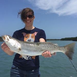 Flats Fishing for Snook and Trout Under Windy Conditions