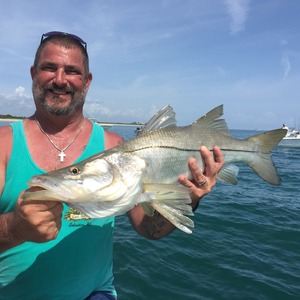 It's Snook Season Again!