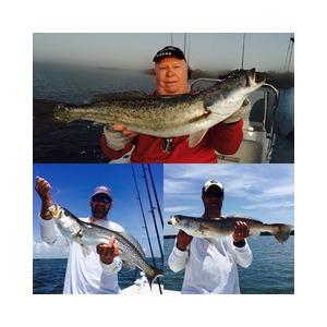 Trout Fishing Vero Beach and Sebastian Inlet