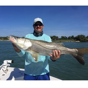 September Snook Season at Sebastian Inlet