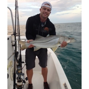 Sebastian inlet snook