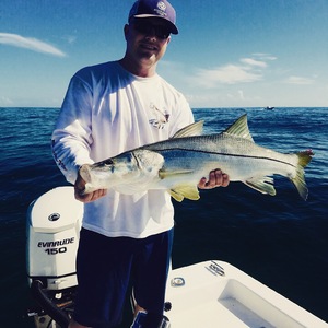 Snook Fishing Sebastian Inlet