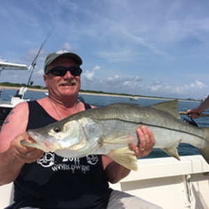 Sebastian Inlet Snook