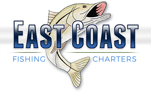 East Coast Fishing Charters